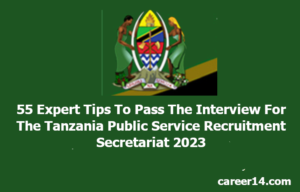 55 Expert Tips To Pass The Interview For The Tanzanian Public Service Recruitment Secretariat 2023