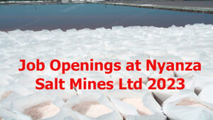 Job Openings at Nyanza Salt Mines Ltd 2023