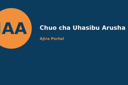 assistant lecturer – (cyber security) at chuo cha uhasibu arusha (iaa)