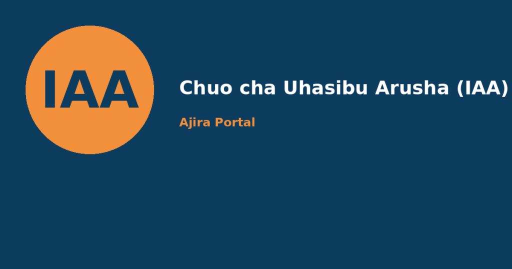 assistant lecturer – (programming) at chuo cha uhasibu arusha (iaa)