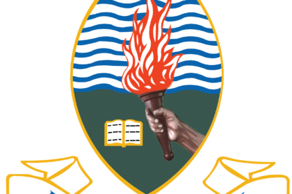 information communication technology officer ii (systems security specialist) at chuo kikuu cha dar es salaam (udsm)
