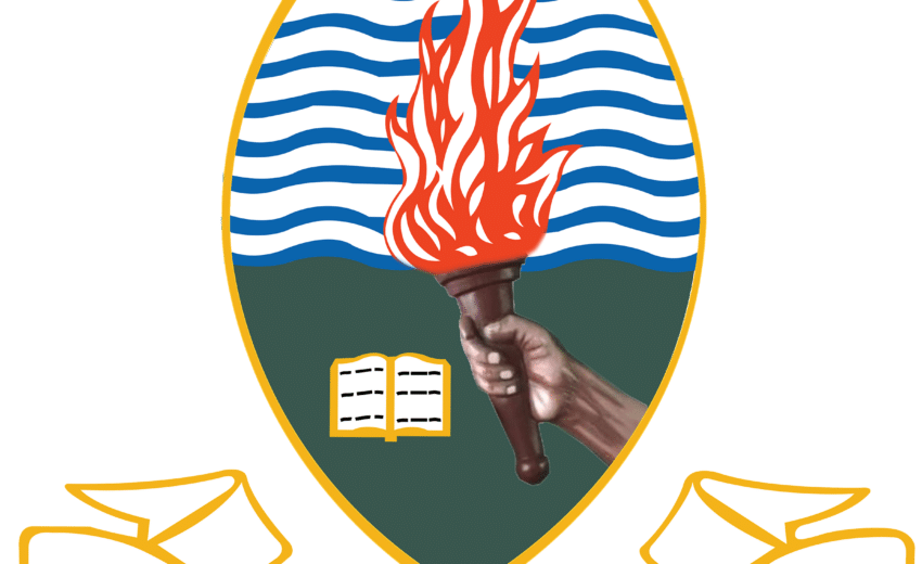 laboratory technician ii (mechatronics) at chuo kikuu cha dar es salaam (udsm)