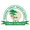 conservation ranger iii – ict officer (information system security) at wakala wa huduma za misitu tanzania (tfs)