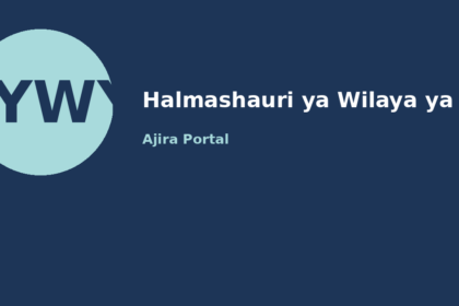 dereva daraja ii (driver ii) at halmashauri ya wilaya ya kibiti
