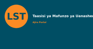 assistant lecturer (practical aspects of commercial law) at taasisi ya mafunzo ya uanasheria kwa vitendo tanzania (lst)